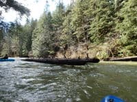 Down cable at the gage collecting wood.