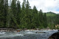 Rapids on NF Clearwater