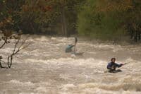 Third Rapid