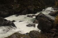 Rapids at KOP F1.2