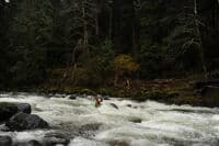 Boris on the Sol Duc