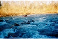 Big Piney--Short Float