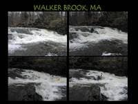 Walker Brook - Last Drop
