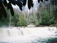 High Falls of the Cheat