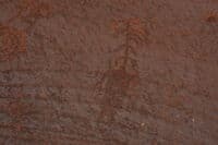 Petroglyph at The Loop