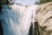In the falls