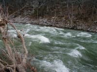 Lower Maury