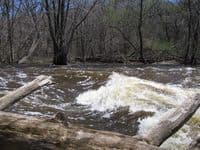 Lime Kiln Park Ledge/wave