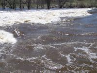 Upstream/river-left at Estabrook Park Ledge