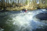 Jones-Blunt Rapid