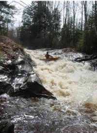 Bushy Creek Falls