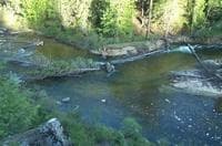 Marble Creek - More Logs