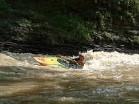 Surf's up!
