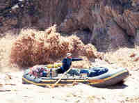 Raft runs Crystal