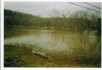More High Water Elkhorn Acres