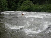 rapid