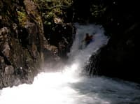 Spout