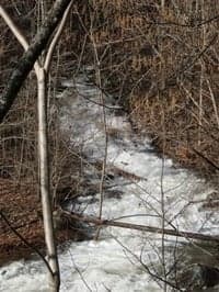 "Middle Fork" Moormans