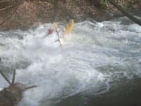 "Middle Fork" Moormans