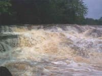 Last Drop - right line
