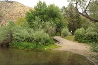 Tree of Heaven Access