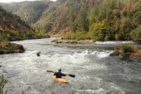 Looking Upstream in African Queen