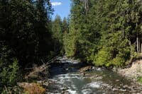 View from the Bridge