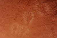 Handprints
