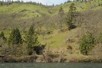 Bikers on Klickitat Trail