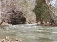 Upper Walker Creek