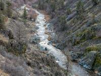 Shasta River at 350 cfs