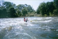 Grapevine Wave in July