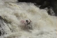 Bluegrass Creek - V+ Put-in Rapid