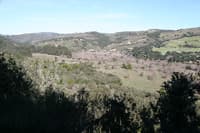 Scenery