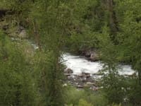 Yet Another Rapid (low)