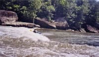 Gordon Byrd at Surfers Rapid