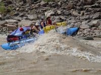 Rapid 10