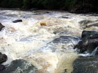 Swetwater Falls from the Top
