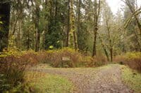 Klahanie Campground Loop