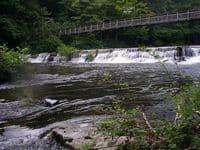 Dam!