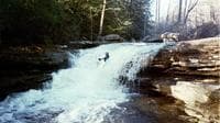 Gordon Byrd running Friendly Falls