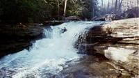 Gordon Byrd at Friendly Falls