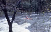 Savage at 3000 cfs