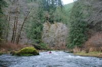 Drift Creek Wilderness