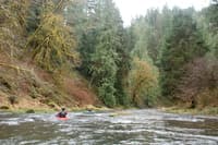 Drift Creek Wilderness