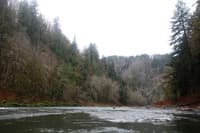 Nehalem