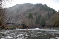 Salmonberry confluence
