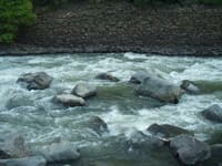 The Wall (2)