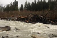 The Wood Hazard at Whirpool