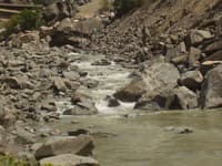 Barrel Springs